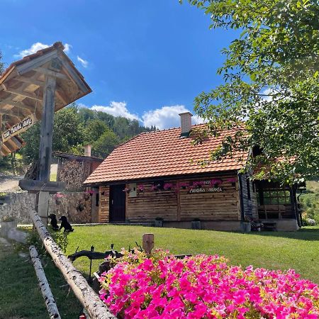 Konak Mandica Avlija Zaovine Luaran gambar